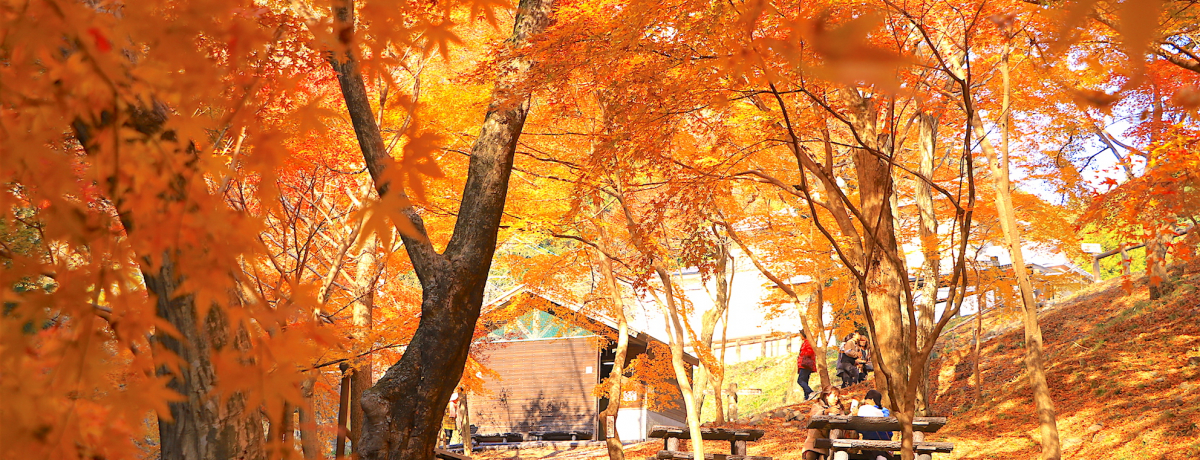 12�����{�ɍŐ���!?�O�d�E�l���s�u������݂��J�v�ŔӏH�ɒ^��