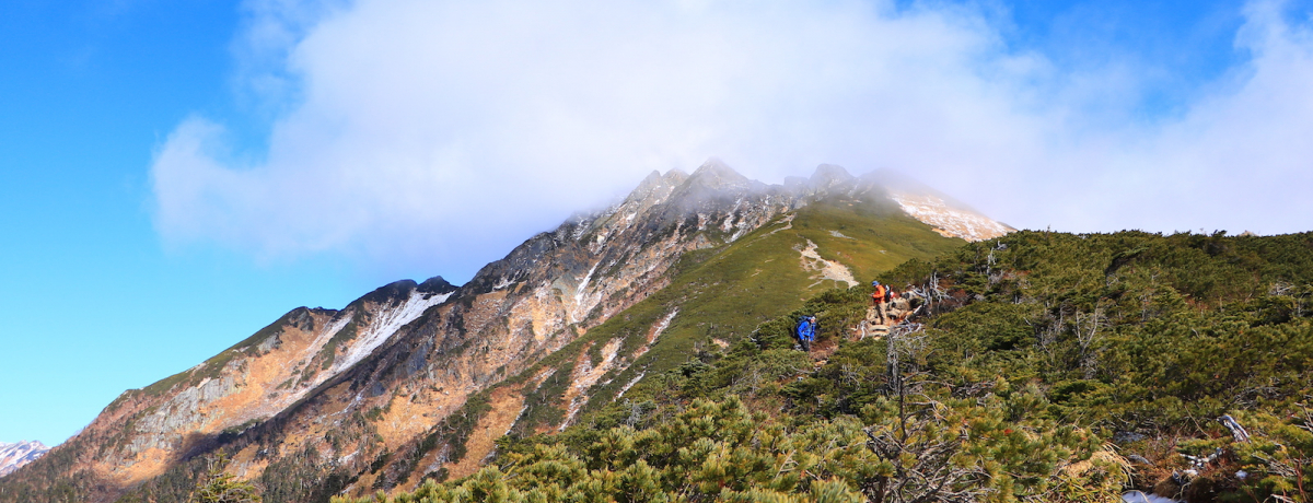 �{�i�k�A���v�X����ɁB�V�䍂���[�v�E�F�C�Łu���䍂�ƕW�v�o�R