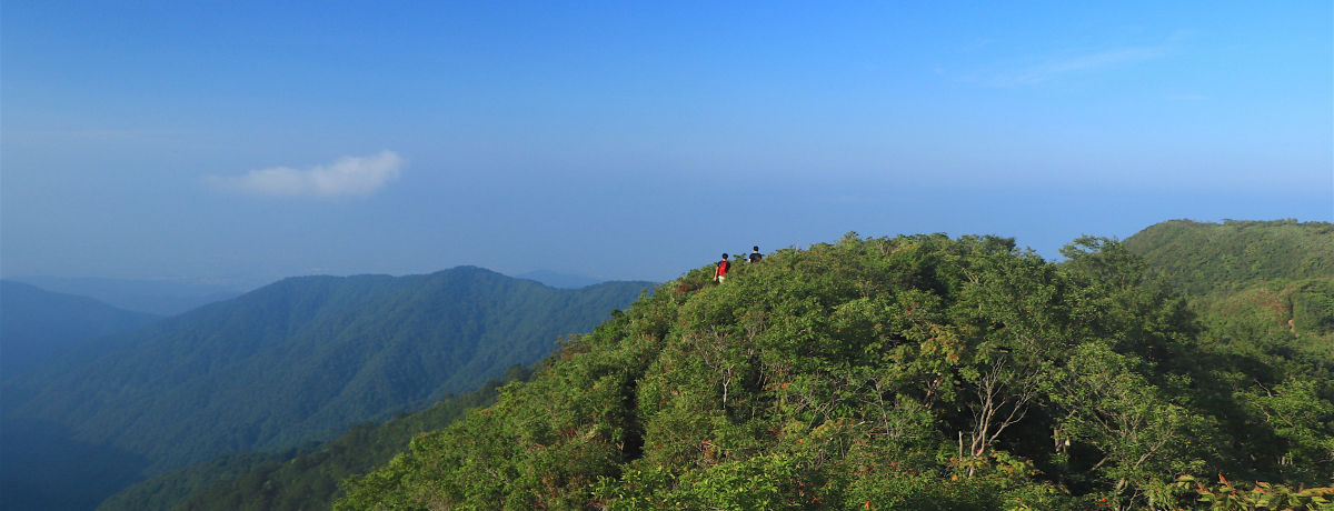 �T�N�b�Ɣ������΂̗Ő��ցI���ꌧ�u�����x�v�֑u���n�C�L���O