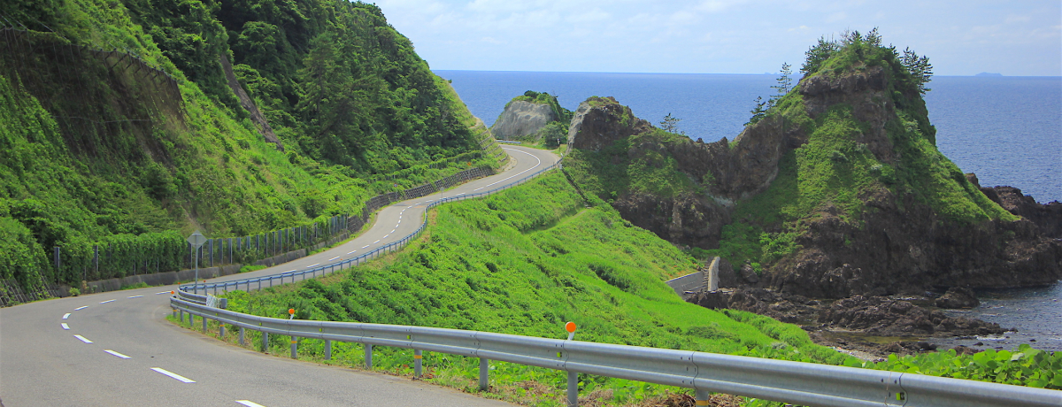 RC̖͂ÏkIu\oiCṽtHg|Cg5I