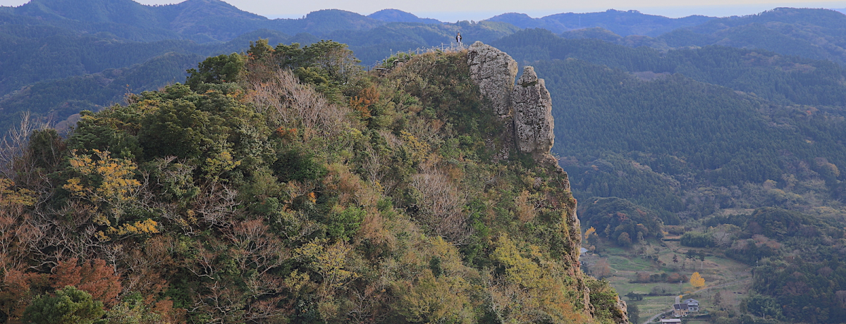 ��R�����ǒB�����������I�[���̃}�b�^�[�z�����u�ɗ\���x�v�o�R