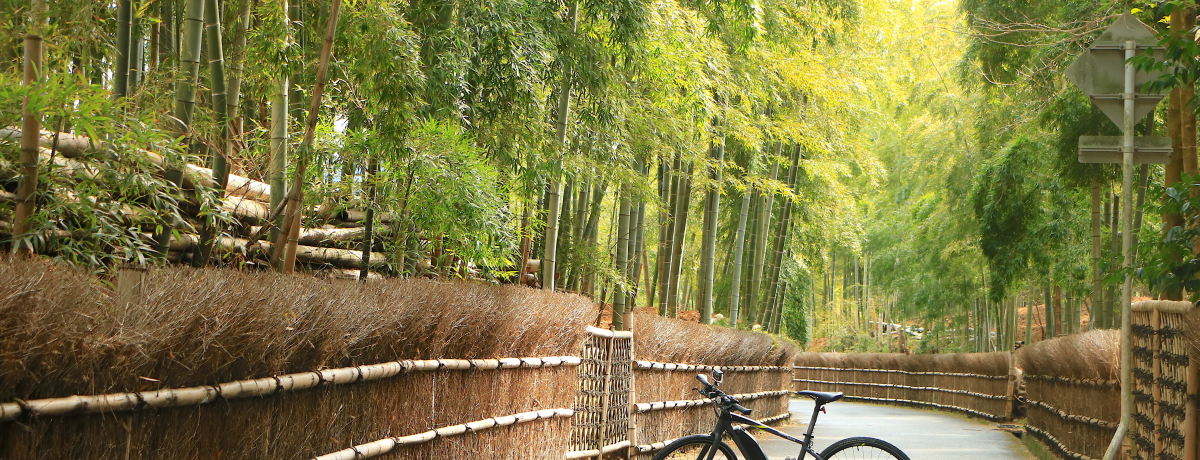 ���s���R�E���P�ŗ��j�Ǝ��R���삯������I�T�C�N�����O�Œ|�ƌÙ��̗������邨�����߃R�[�X