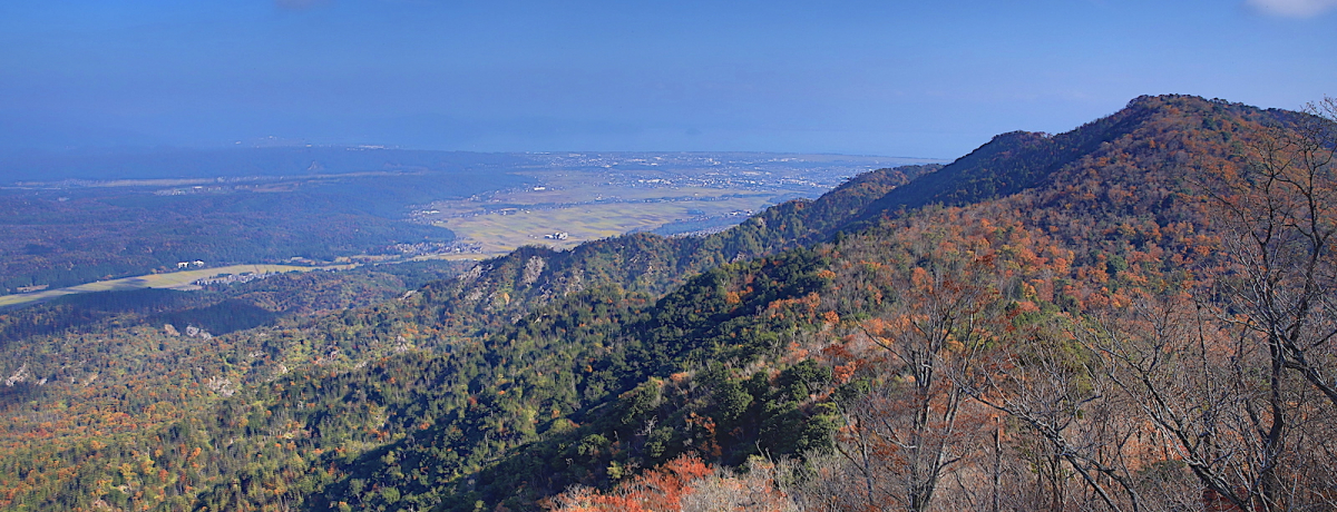 ���i�΂����n����i�I�����u���g����ǁv�c���o�R���y������