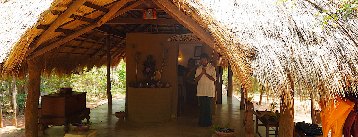 XJŎ{p̌IAX A[F[_ AV