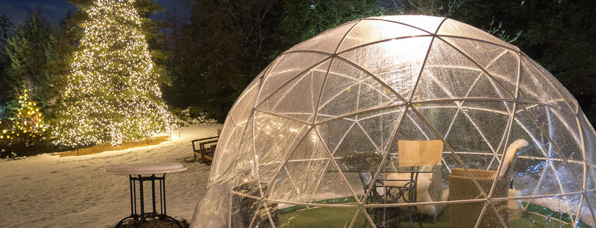 ���}���`�b�N��C���~�l�[�V�����I��䃍�C�����p�[�N�z�e���̓~