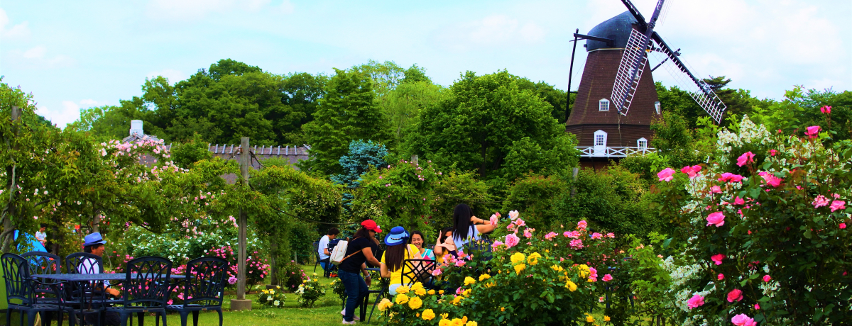 tEӂȂ΂AfZŐȆfGȃoӏ܂悤I