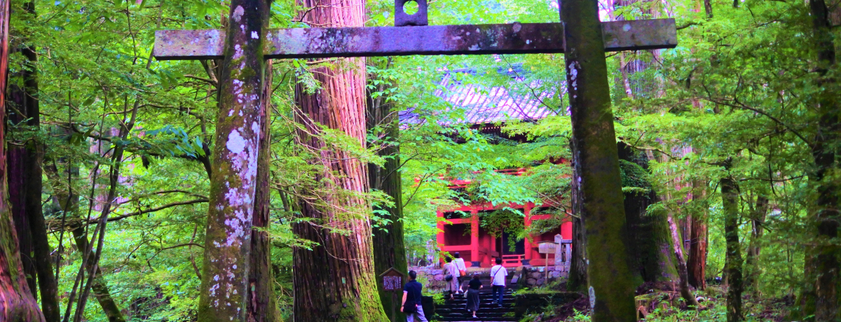 ^q^܂!?Ȗ؁Eu_ЁvŃp[`[WI