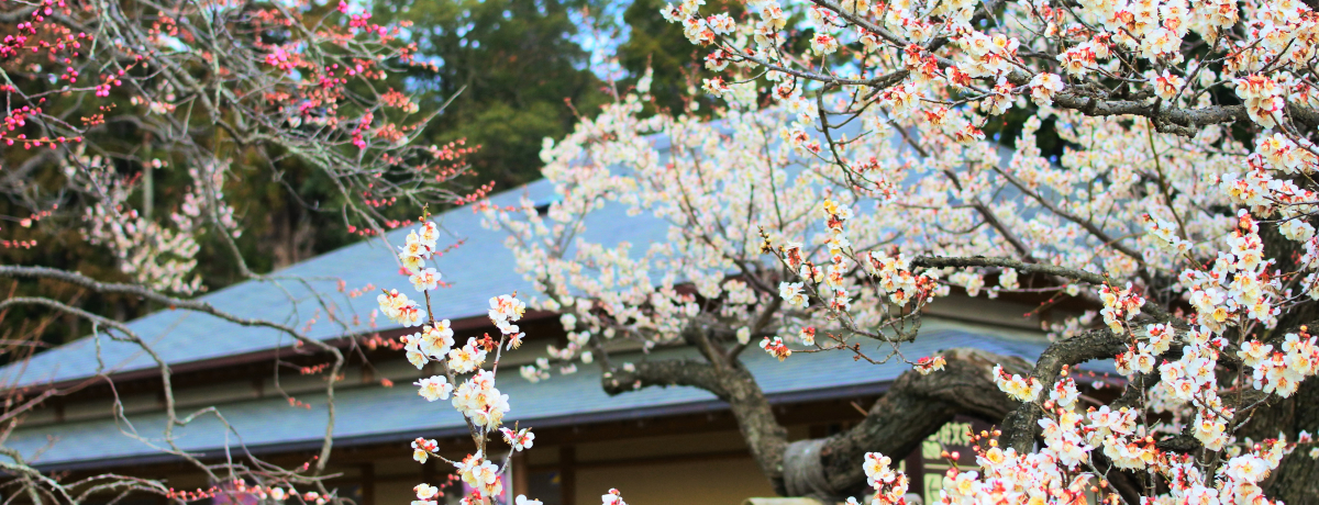 f炵喼뉀Iˁuyvŏo镗Ȕ~̉