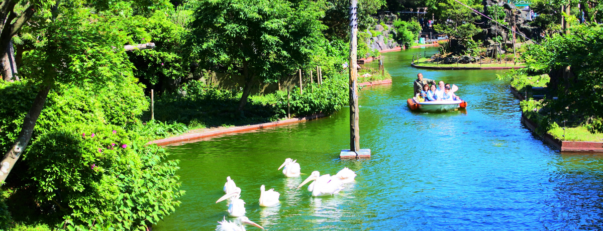 T{eɉIƑŊy߂uɓV{ev