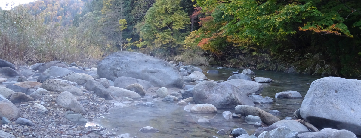 �R���̓���ƓV�R���� �H�c�u�V�ܘY���v�ŐS�̐����