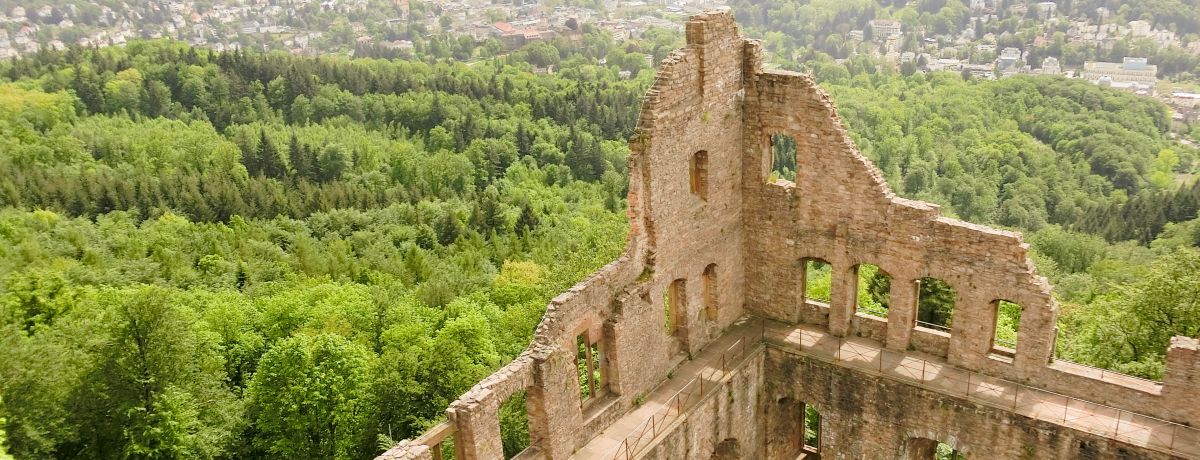 hCc̉no[fEo[fŊyތÏgbLO