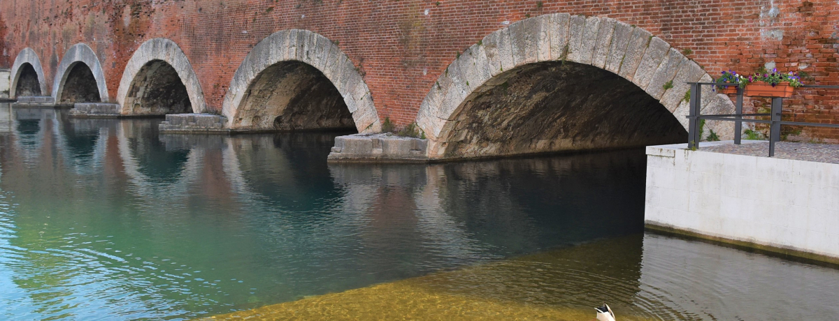 ���F�l�c�B�A���a�����z�����C�^���A�ΐ��n���̏����ȗv�Ǔs�s