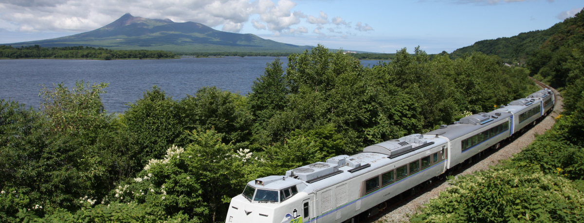 ���ًߍx�`�V���{�O�i�̑厩�R��̊��`�i�q���ٖ{�����B�����