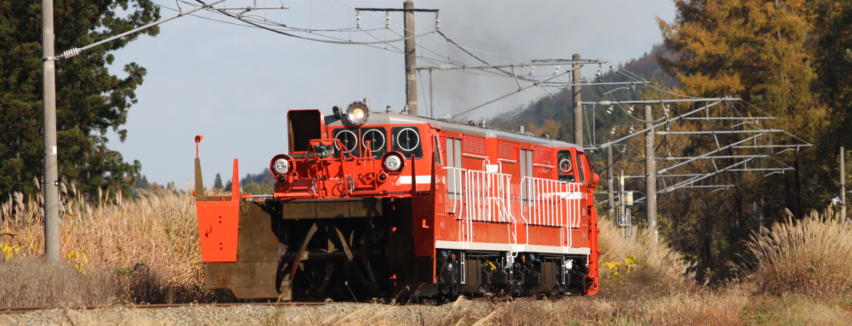 �����c��X�C�b�`�o�b�N�{�~�́u�r���ԁv������I�c�V������z����n�т̗��`�i�q�M�z�{�����B�����