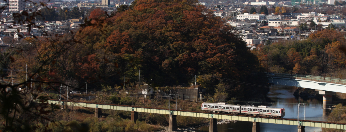 �ԏ�R�[���[�J�����c�����ŌË��̓d�Ԃ�����I�`��ѓd�C�S�����B�����