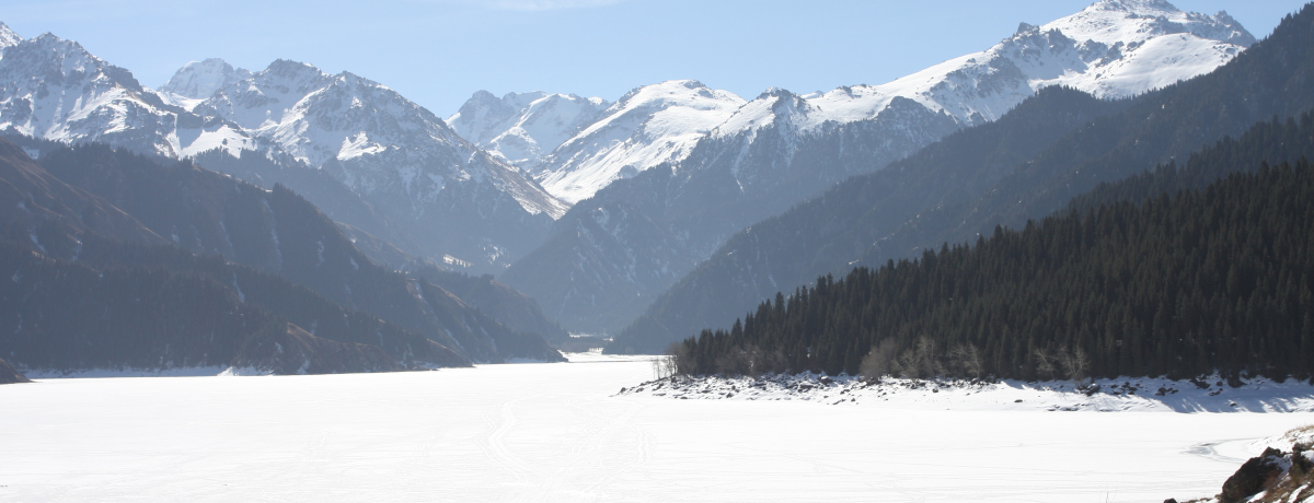 �V���N���[�h�̔鋫�E���E��Y�I�`�V�d�V�R�E�V�r�𗷂���O��K�C�h