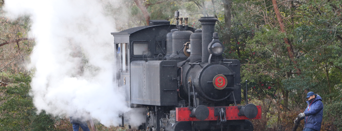 ̓SI`St@̂߂̈mEBKCh