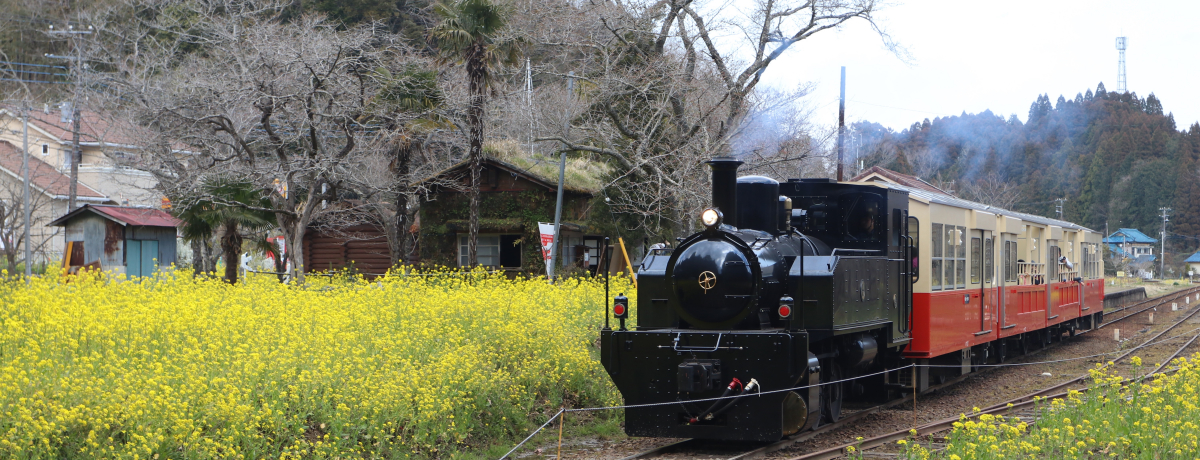 ���R�g���b�R�Ŗ[���tࣖ��̗��`�����c�����B�����