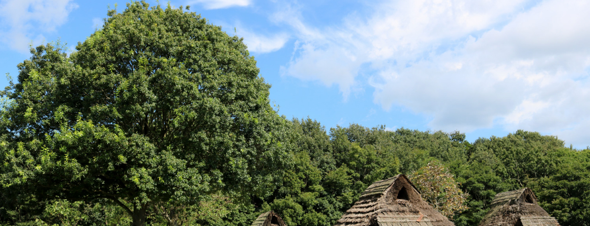 ꕶ̊LˁIu㍂ÊL˂ӂ邳Ɨj̍Lvœꕶ̌