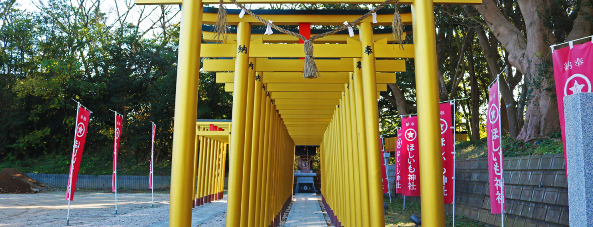 F̒Iuق_ЁvŃzVCmɓI