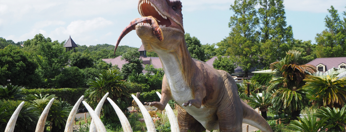 ÉEɓςɑ唗͂̋AgNVoI