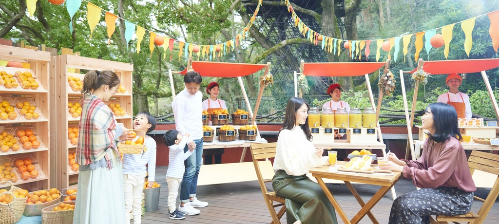 {̃~JƊƂƂyu샊][g@]i[MCv