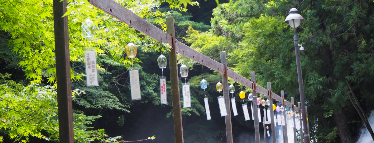 k̂炬ƕ̉FIɓE͒Îukv