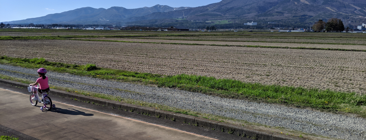 qluI֒Rƒc΂̐iyރTCNO