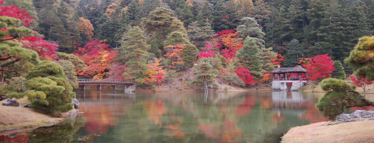 ���s�E�C�w�@���{�͖����Ō��w�ł���B�������\�����݂ɂ̓R�c���c