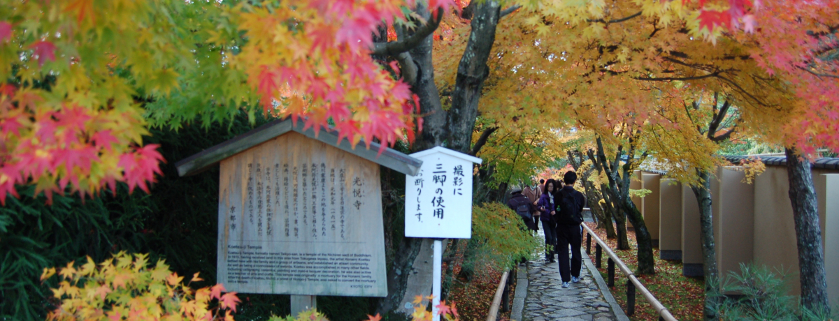 ���s�E����̍g�t�͂R�̐l�C�̂�������C�ɉ��č������I