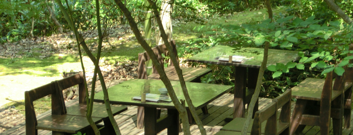 ꖳ̘aَq̗z@V܁A̐^I ꌧűiȂ̂Ɓjv