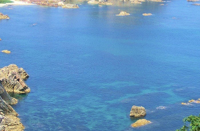 ^TCNŊC݂𑖂uFreeIvnI挧