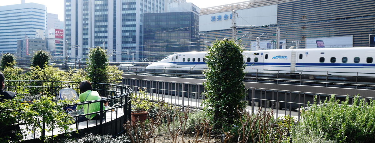 �S�q�E�S�j�E���q����܂ɕ����I�����w�����̐V�����������鉮��뉀