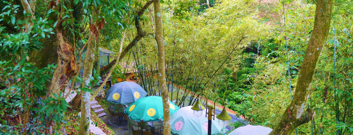 pkxO̔LŁIRɂЂȂށu籌Vv