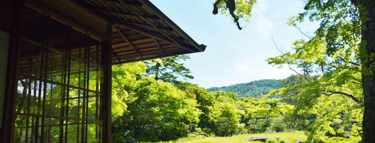 ���s�u�`���Y�Ƃ̓��v�͒����Ȃ畽���_�{�������������I