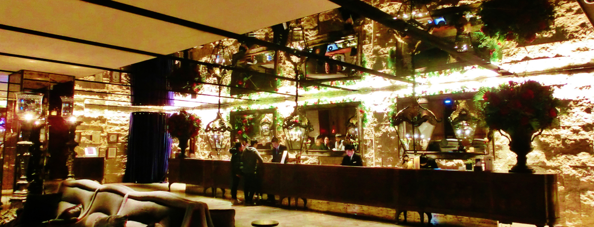 ��k�w�O�́g�U���h���O�W���A���[�z�e���u�p���E�h�E�V�k�v