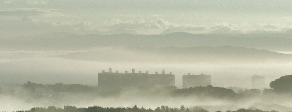 �u�D�y�k�L���N���b�Z�z�e���v�͎D�y���炽����16���̐X�̒��̉���