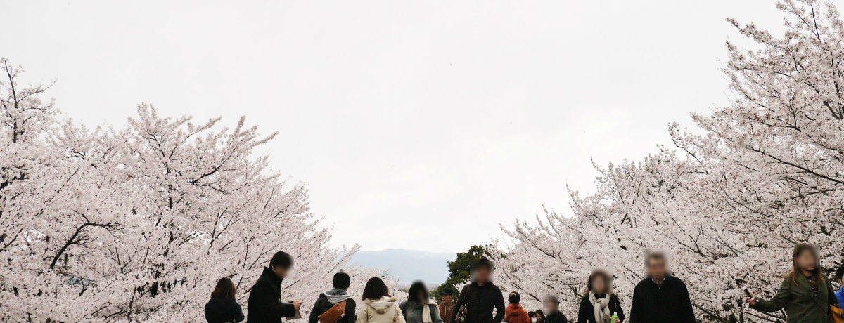 s͕̍_{ӂ߁IRCNCE\ΏMyނ̂т肨Ԍ