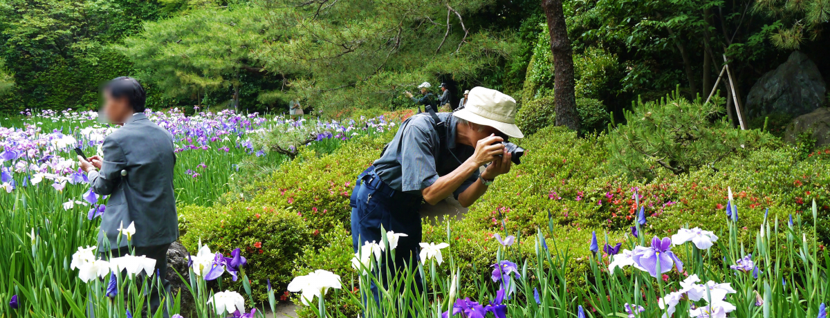 �����_�{�_���̖����J���͔N�Q��I�U���̊J�����͉ԏҊ��i�n�i�V���E�u�j��������