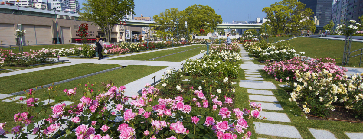 ̂ǐ^񒆁EVóADΊ݂̃JtFy߂