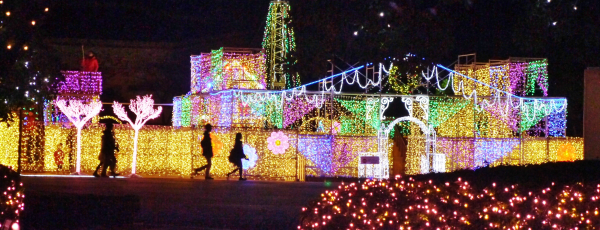 �l�C�}�㏸�I�k��B�s�X�y�[�X���[���h�̃C���~�l�[�V�����͉Ƒ��Ə����̉Ƒ��ɃI�X�X��