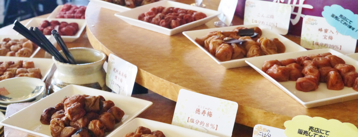 ӁIPUވȏ̔~Uf钩HEa̎R}[iVeBze