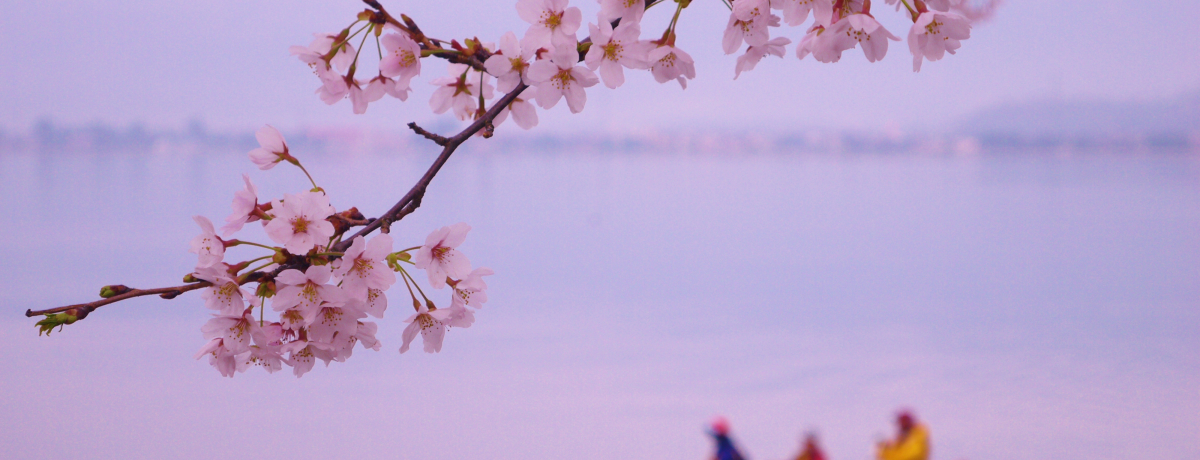 i΂̍XSCICÑ̍؂ŃsNɕ܂t