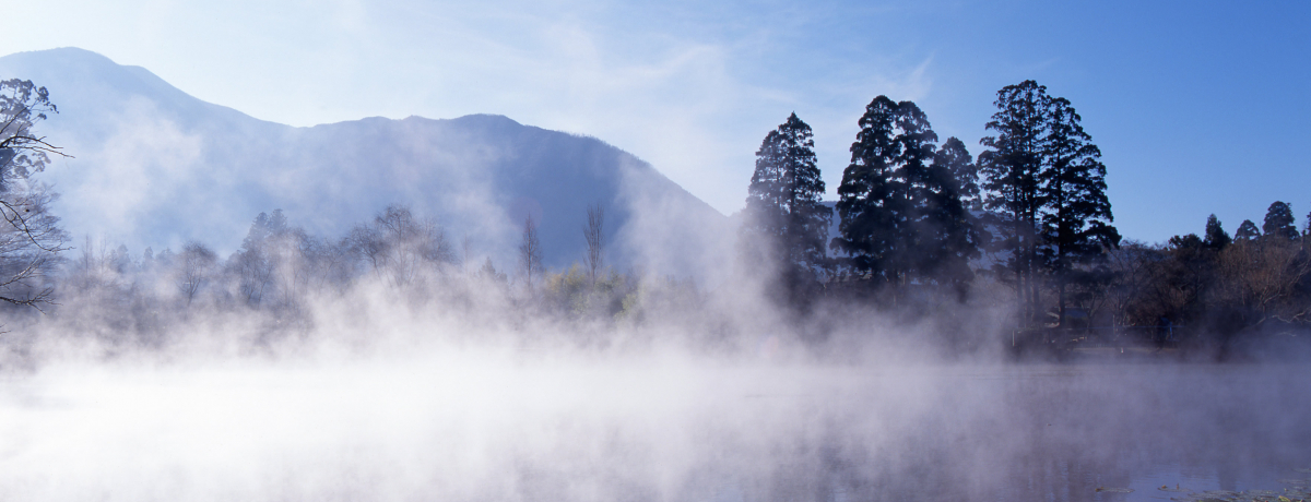 ��B�ӂ��������ōs�������啪�u���z�@�v�̊�{�̊ό��K�C�h