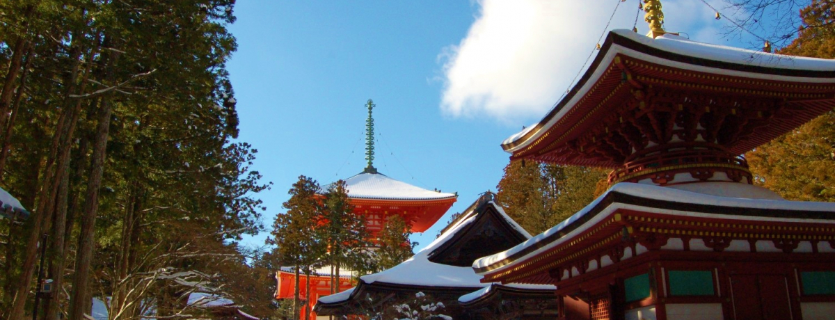 RAόKChۑŁ@5Ԃł|Cgđ喞I