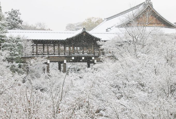 Ⴊ~烉bL[Ix͌sLό̐iF