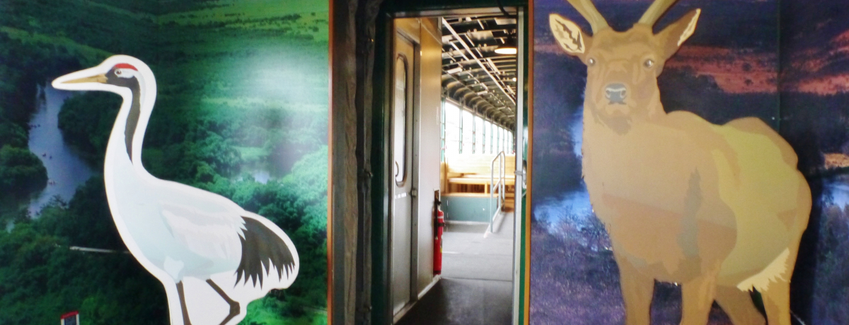 u뎼mbRv2019\񁕂ߎwȃKCh