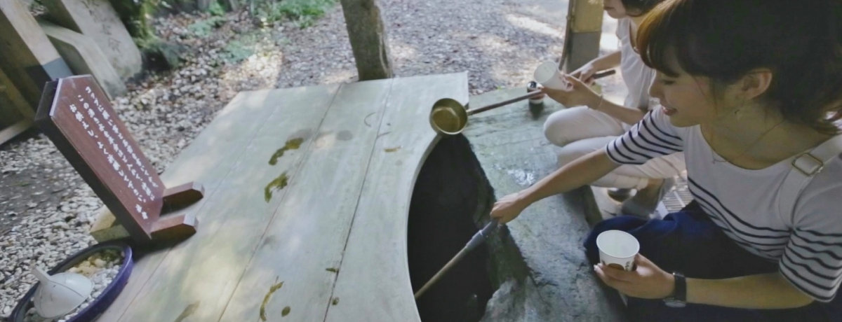 u̐_ЁimEmjvɗN̐ŉсIRbvŗAF