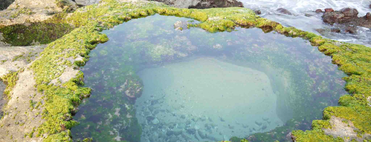 n[gbN̍s܂I哇Ő΍sp[X|bg