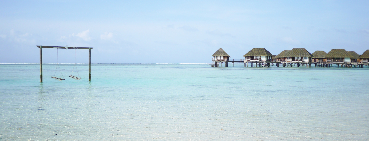 ���q���Ń����f�B�u�s���Ȃ�N���u���b�h�E�J�j�t�B�m�[���I�I�[���C���N���[�V�u�ŃA�N�e�r�e�B�O��